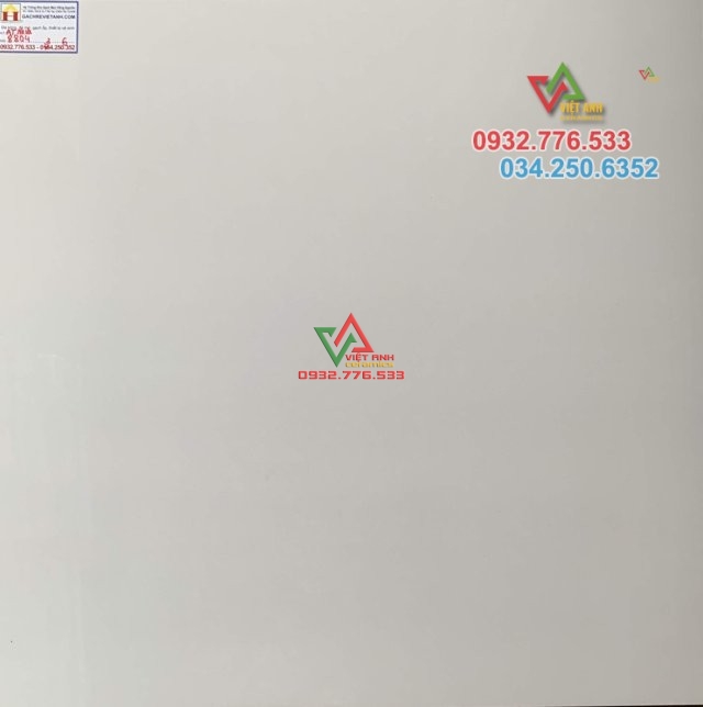80x80 màu trắng tinh không hoa văn 8804