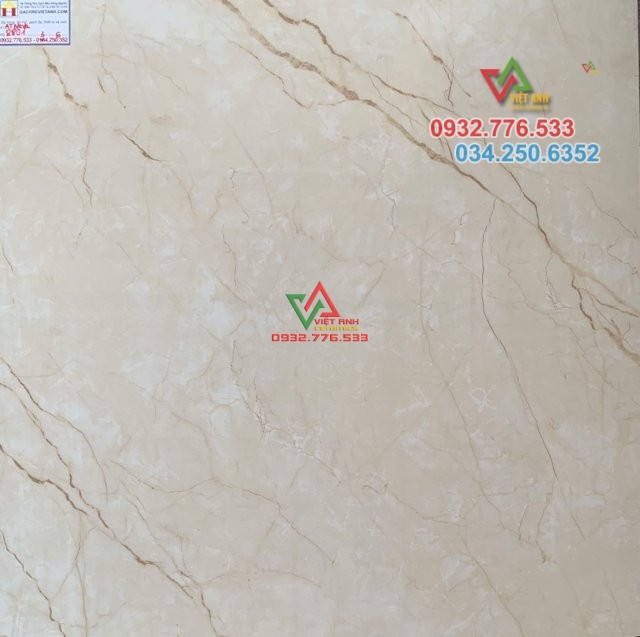 8801 80x80 hàng chính hãng cao cấp bình tân