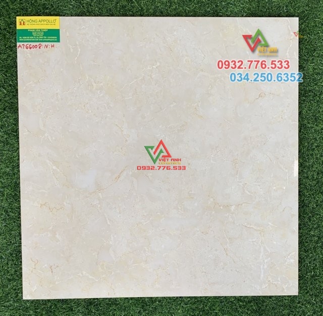 Gạch cao cấp xả kho 60x60 66998