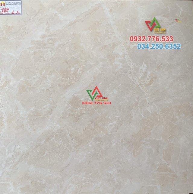 Gạch lát nền họa tiết đẹp 8805