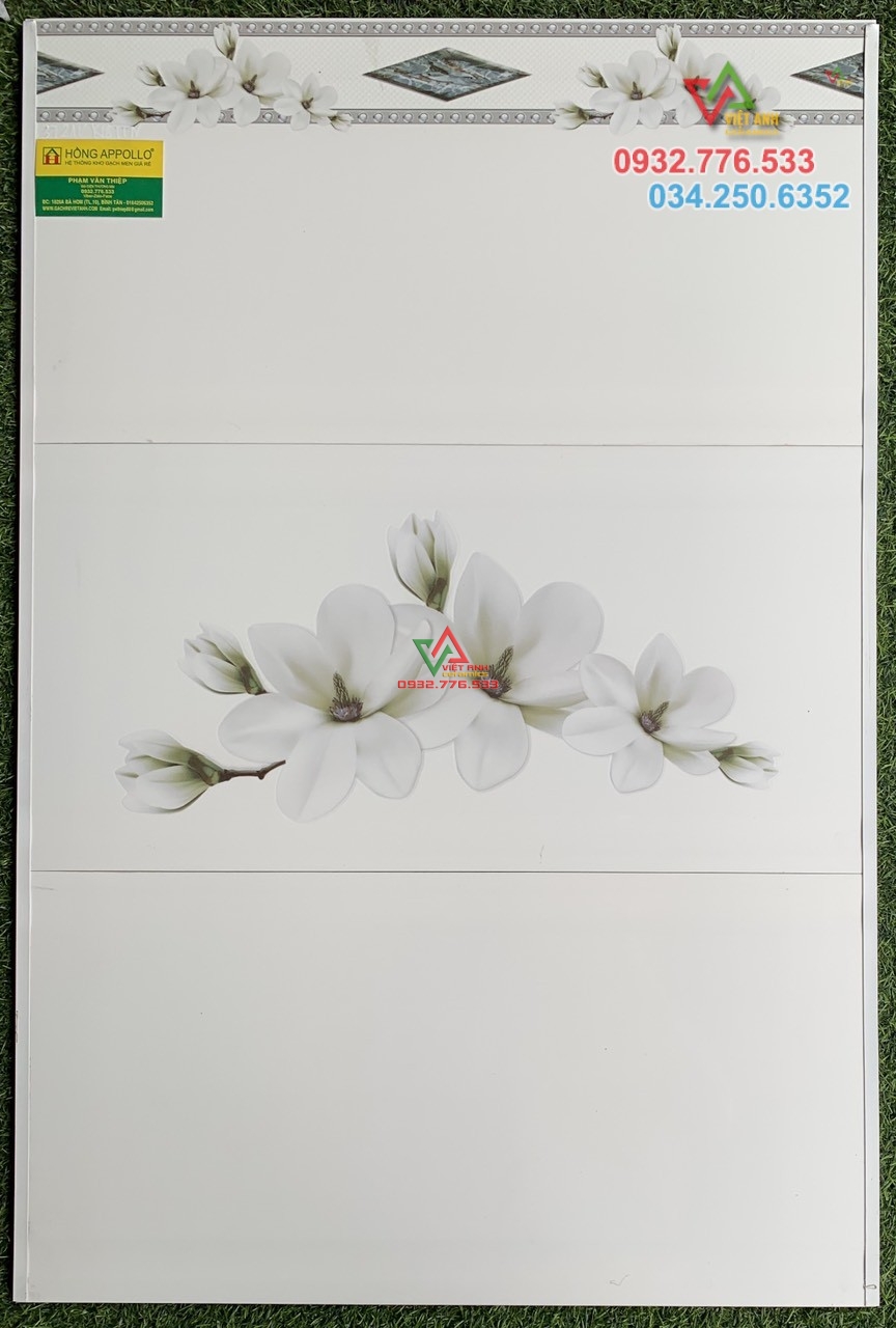 bộ gạch 30x60 màu trắng họa tiết cánh hoa đẹp