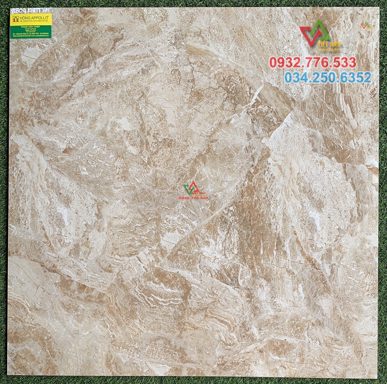 Gạch 80x80 hàng cao cấp màu sắc đa dạng