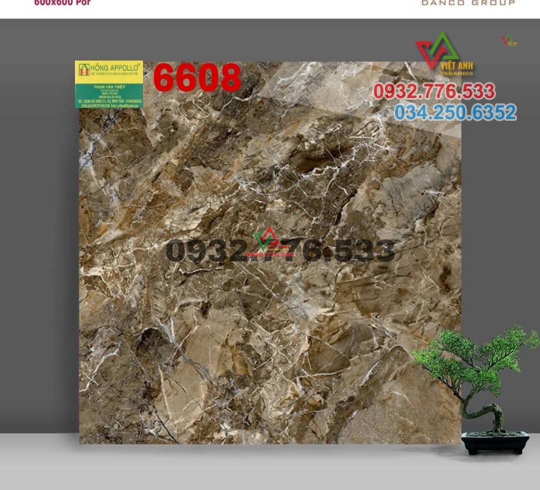 Gạch 60x60 đá kim cương mã 6608