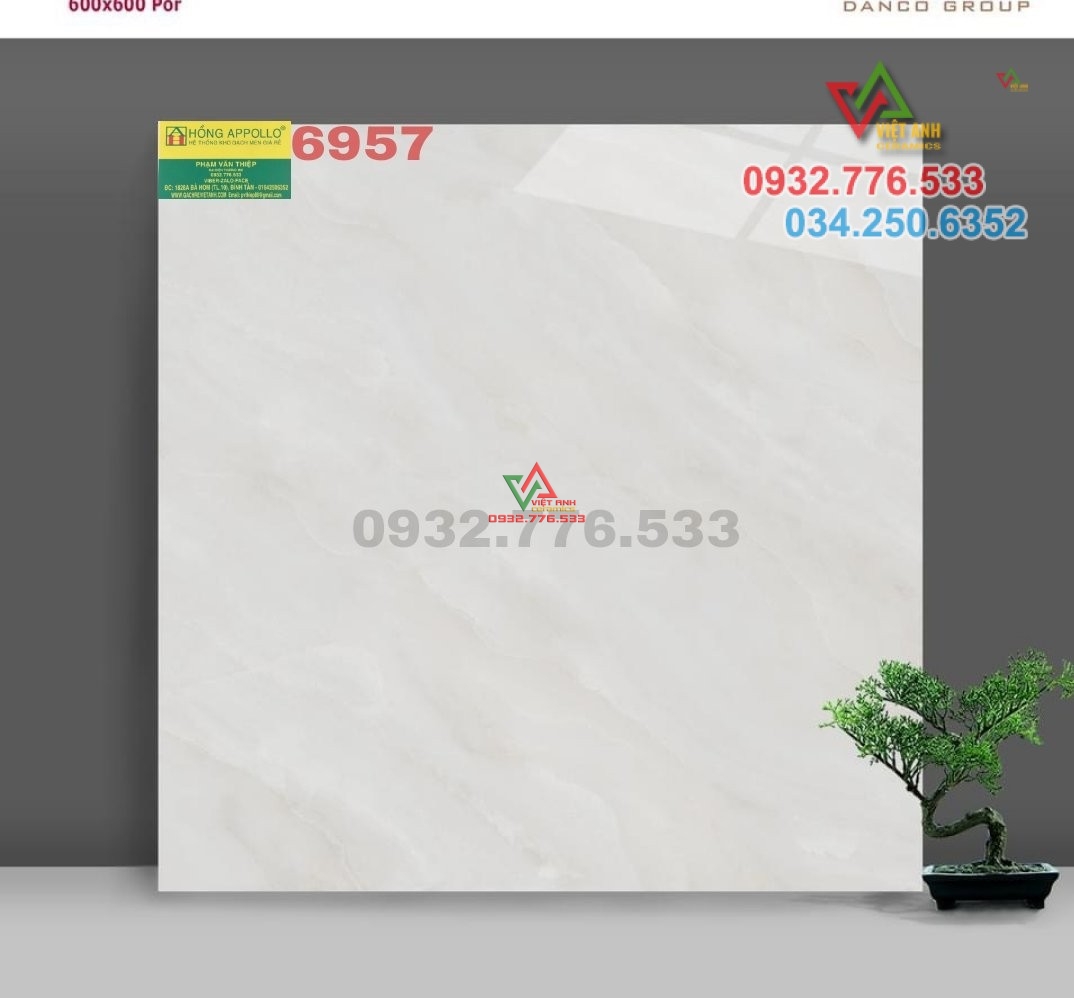 Gạch 60x60 lát nền mặt tiền mã 6957