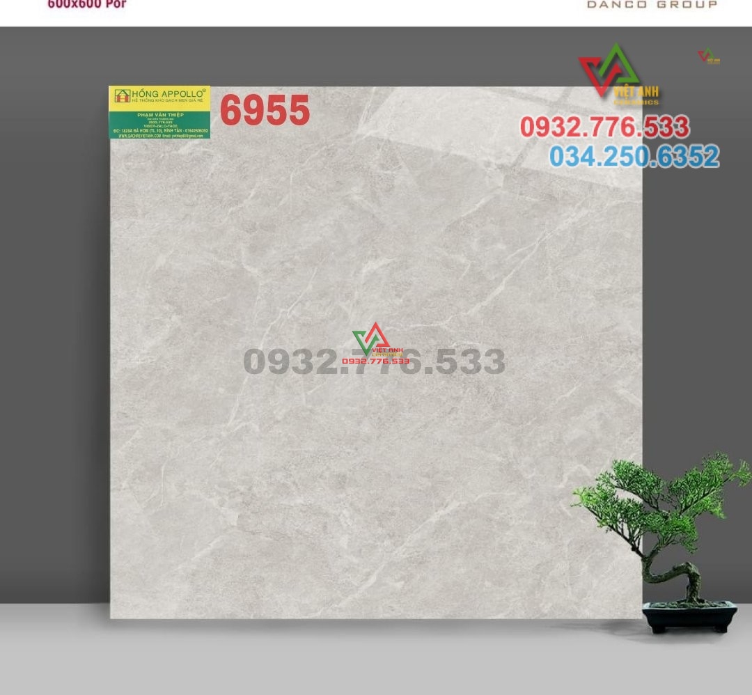 Gạch 60x60 ốp lát nền nhà villa bắt mắt mã 6955