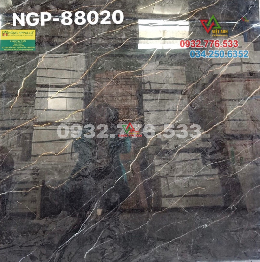 Gạch 80x80 hàng nhập khẩu sang chảnh mã NGP88020