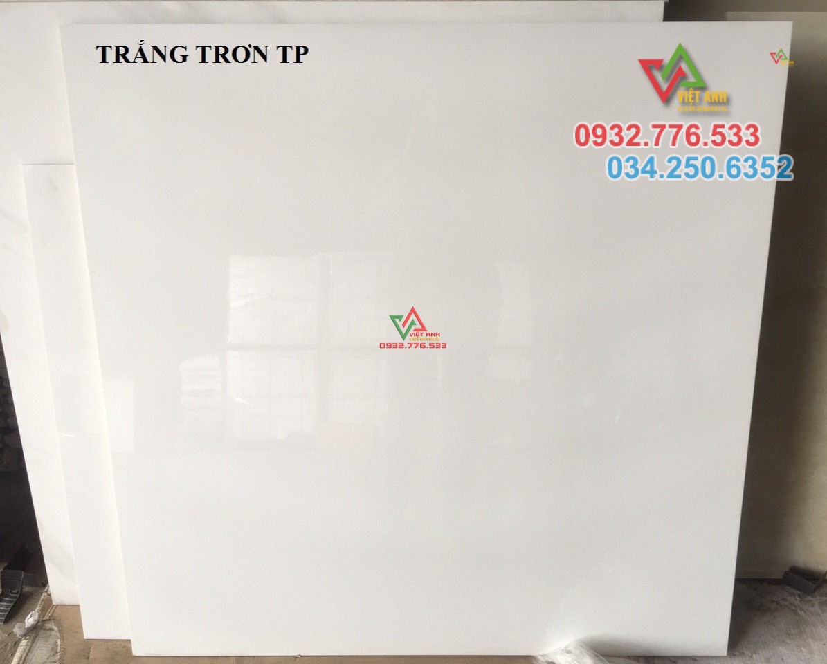 Gạch khổ lớn 100x100 ốp lát màu trắng trơn nhập khẩu TQ