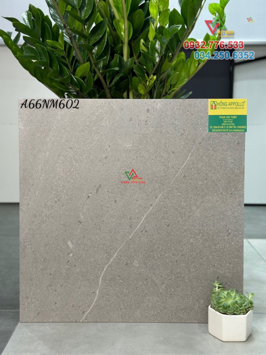 Gạch 60x60 đá mờ ốp lát nền nhà hàng APODIO Liên Doanh Việt Ấn