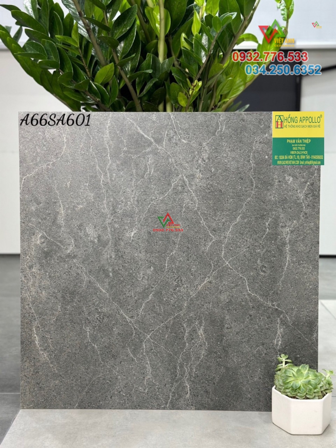Gạch 60x60 matt gray color mã A66SA601