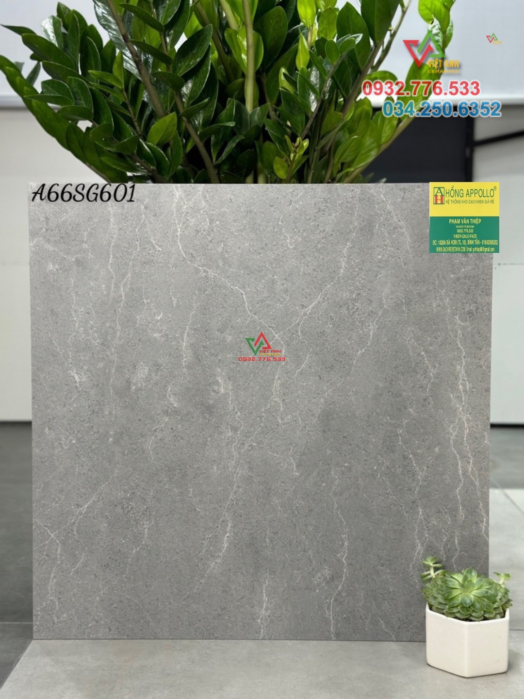 Gạch 60x60 màu xám matt sang trọng tinh tế hàng APODIO