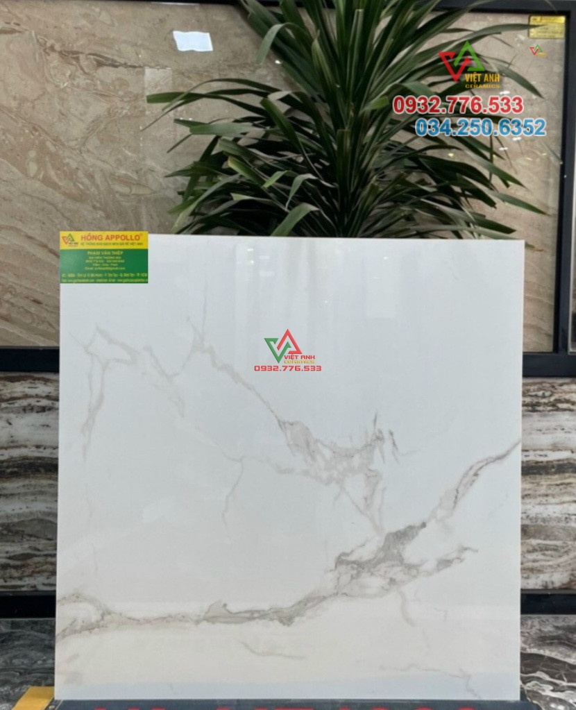Gạch đá khổ lớn 100x100 màu trắng vân xám nhập khẩu India
