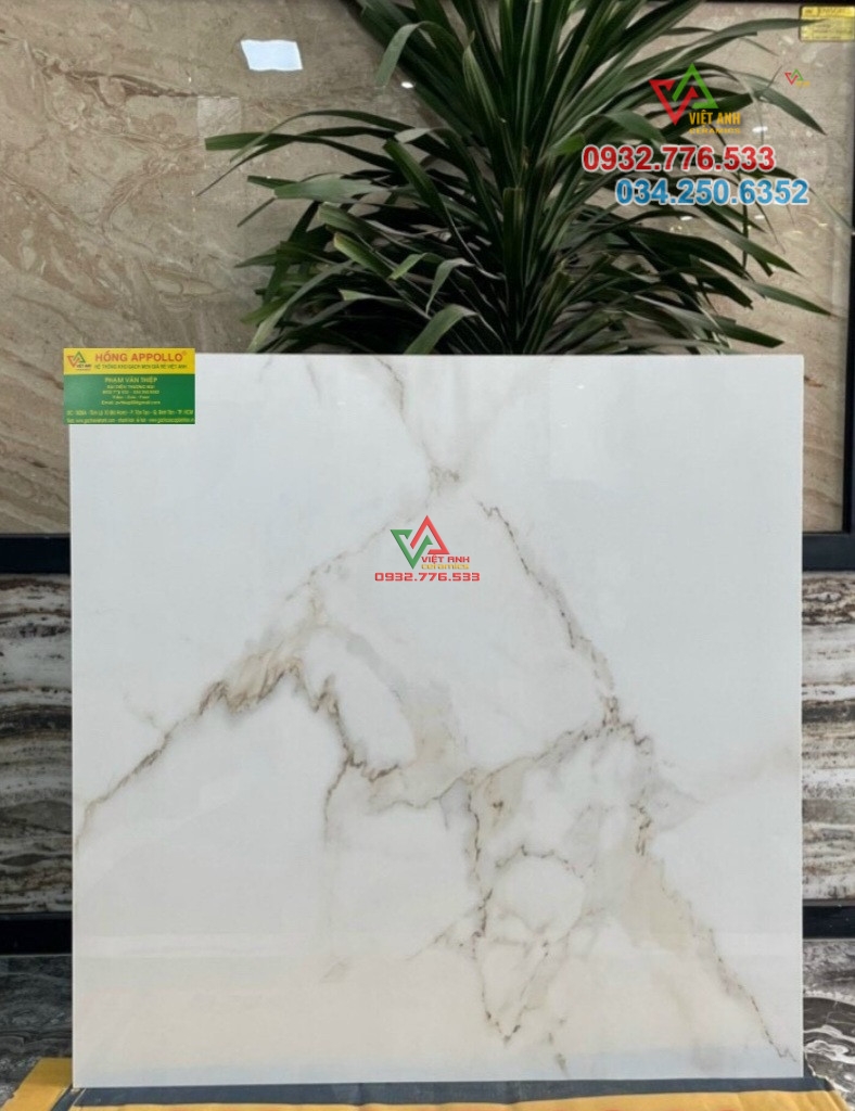 Gạch ốp lát nền nhà khổ lớn 100x100 màu trắng vân xám nhẹ