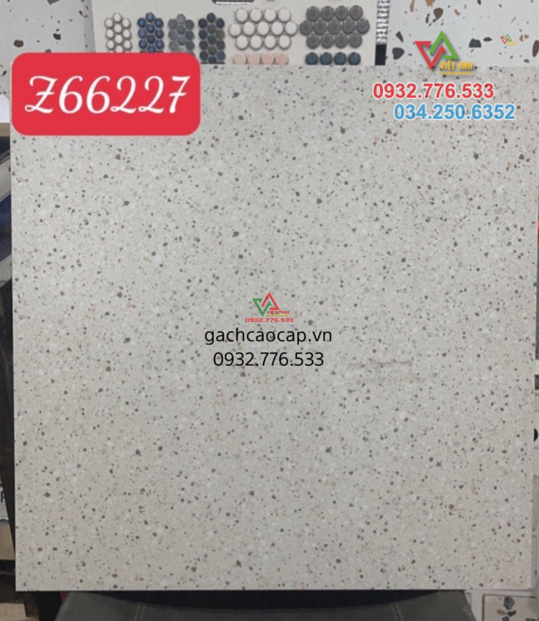 Gạch giả đá 60x60 terrazzo giá ưu đãi 2025