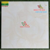60x60 gạch lát nền phòng khách hàng cao cấp 608