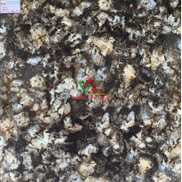 GẠCH 80x80 VÂN ĐÁ CAO CẤP GIÁ RẺ 8024