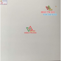 80x80 màu trắng tinh không hoa văn 8804