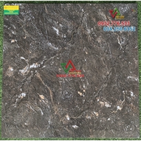 GẠCH 80X80 MÀU SẮC ĐẸP HỌA TIẾT SẮC SẢO 8355