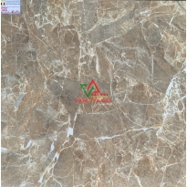 GẠCH LÁT NỀN PHÒNG KHÁCH CAO CẤP 80X80 8801