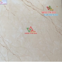 8801 80x80 hàng chính hãng cao cấp bình tân