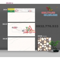 Bộ gạch 30x60 sang chảnh