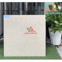 Gạch bóng kiếng 60x60 toàn phần ốp phòng khách sang trọng quý phái