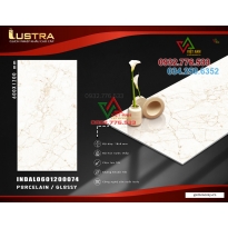 Dòng gạch cao cấp 60x120 ốp lát trang trí nhập khẩu Ấn Độ