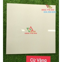 Gạch 100×100 đá bóng kiếng hàng nhập khẩu vân xà cừ vàng