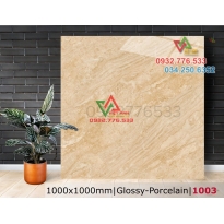 Gạch 100×100 hàng Việt Nam chất lượng cao 1003