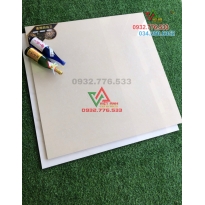 Gạch 100×100 màu trắng tinh nhập khẩu