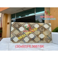 Gạch 30x60 hàng trang trí ốp tường nhà nhập khẩu TQ