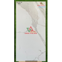 Gạch 60x120 Ấn Độ Classic Statuario Matt