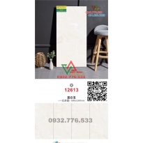 Gạch 60x120 đá bóng kiếng nhập khẩu TQ 12613