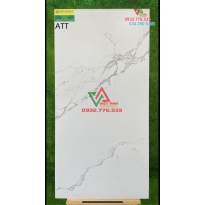 Gạch 60x120 đá mờ Surface Carving Sparkle Classic Satatuario