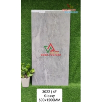 Gạch 60x120 hàng đẹp bóng kiếng mã 3022