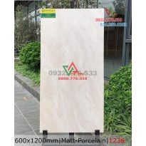 Gạch 60x120 hàng mờ cao cấp mã 1236