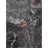 Gạch 60x120 màu sắc đẹp