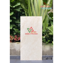 Gạch 60x120 màu sắc đẹp tinh sảo