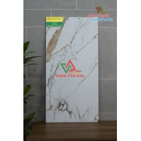 Gạch 60x120 màu trắng vân vàng hàng VN