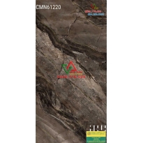 Gạch 60x120 nâu cà phê sang đẹp