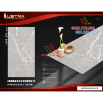 Gạch 60x120 nhập khẩu Ấn Độ GRAY WITH WHITE VEINS