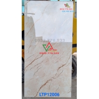 Gạch 60x120 nhập khẩu TQ ánh kim tại Tân Bình