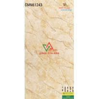 Gạch 60x120 sang trọng nhập khẩu