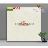 Gạch 60x60 chất lượng cao mã 6303