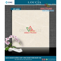 Gạch 60x60 granite đồng chất