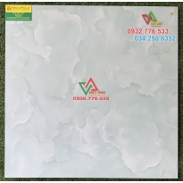 Gạch 60x60 lát nền cao cấp 602