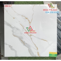 Gạch 60x60 lát nền giá rẻ HCM