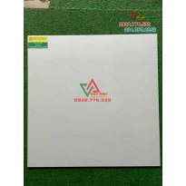 Gạch 60x60 lát nền phòng khách hàng mờ