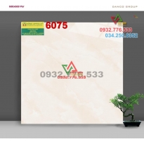 Gạch 60x60 lát nền phòng khách mã 6075