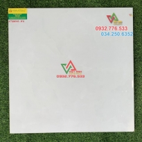 Gạch 60x60 lát nền phòng khách màu trắng 266016
