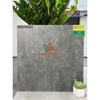 Gạch 60x60 matt gray color mã A66SA601